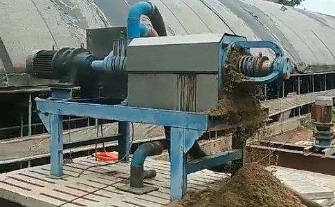 干糞分離機 干糞分離機